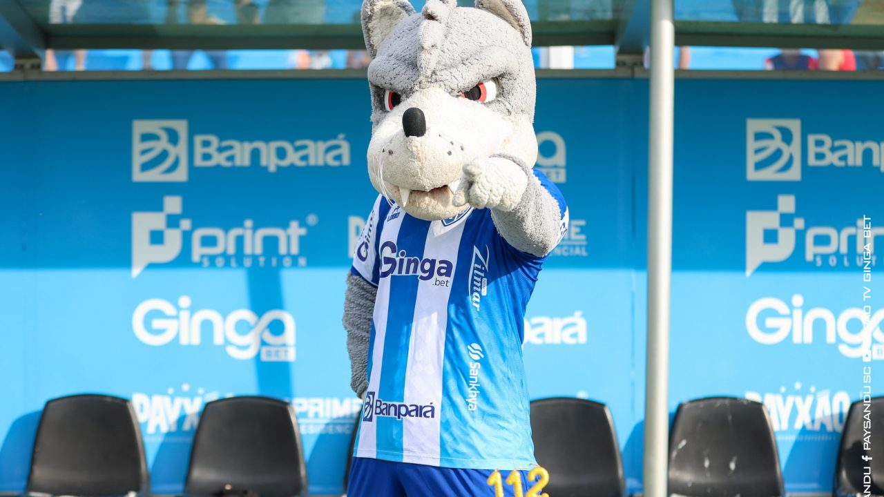 55074315194_f06edd1116_k