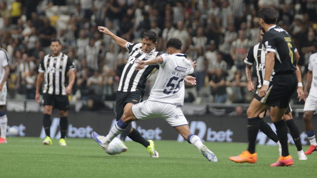 WhatsApp Image 2026-02-12 at 12.16.44 AM